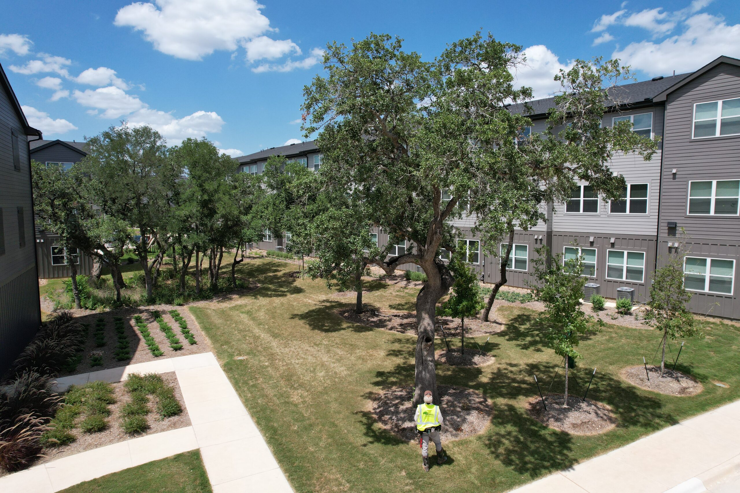 The prose north west residential site featuring healthy trees
